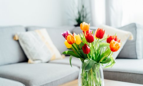 Tulpių vazoje niekada nelaikykite su šiomis gėlėmis: ekspertė paaiškino, kodėl