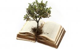 Biblinių augalų simbolika gyva ir šiandien