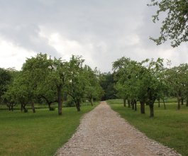 Senieji paveldo sodai: praeities atgarsiai ir egzotika Senieji paveldo sodai: praeities atgarsiai ir egzotika