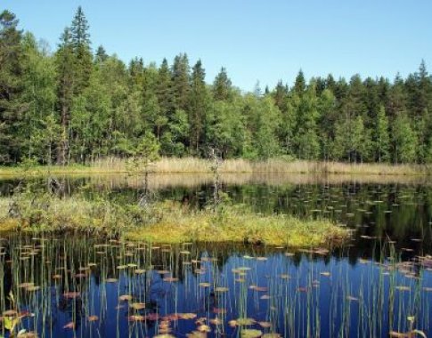 „Savaitė“: Ar išvalysime Lietuvos ežerus?
