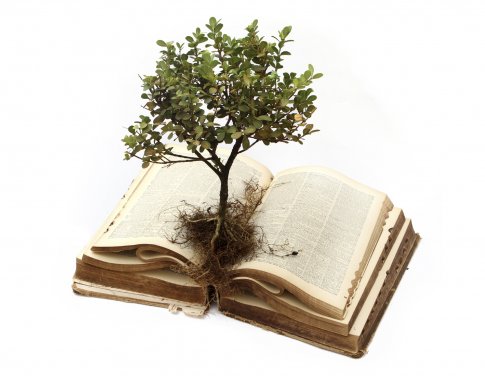 Biblinių augalų simbolika gyva ir šiandien
