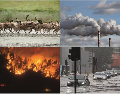 Kokie požymiai neleidžia abejoti žmogaus poveikiu mūsų planetos klimatui ir gamtai?