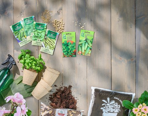 Prasidėjo pavasarinis sėklų pirkimas: ekspertė dalijasi pagrindinėmis sodinimo klaidomis