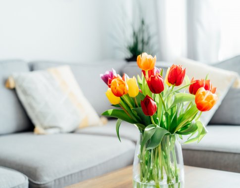 Tulpių vazoje niekada nelaikykite su šiomis gėlėmis: ekspertė paaiškino, kodėl