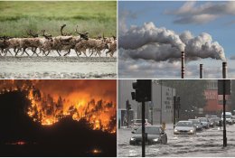 Kokie požymiai neleidžia abejoti žmogaus poveikiu mūsų planetos klimatui ir ...