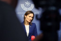 V. Čmilytė-Nielsen: dėl dalyvavimo prezidento rinkimuose neapsisprendžiau