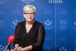 I. Šimonytė viliasi, kad mokesčių reforma Seimą pasieks pavasarį: diskusijų ...