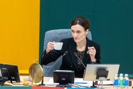 Seimo pirmininkė sureagavo į mestus įtarimus K. Bartoševičiui: tai viena su ...