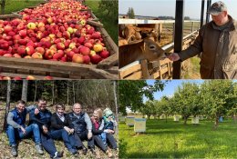 Ekologinių biodinaminių ūkių žingsniai Lietuvoje