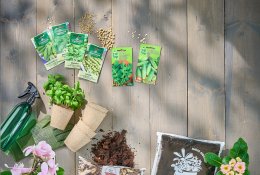 Prasidėjo pavasarinis sėklų pirkimas: ekspertė dalijasi pagrindinėmis sodin ...