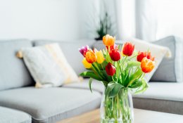 Tulpių vazoje niekada nelaikykite su šiomis gėlėmis: ekspertė paaiškino, ko ...