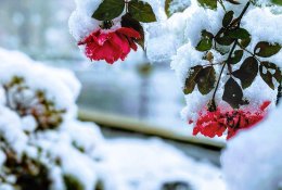 Artėjant atšilimui įspėja dėl galimų potvynių: kaip jiems pasiruošti