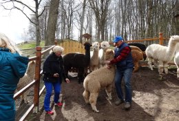 Andų kalnų gražuoles pamilo ir lietuviai