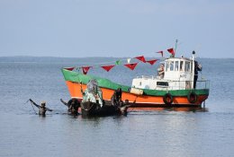 Nemokamų savaitės renginių gidas