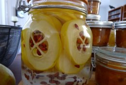 Svarainis puikiai atstoja vitaminų žirnelį