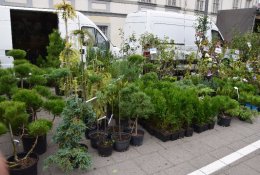 Nemokamų savaitės renginių gidas