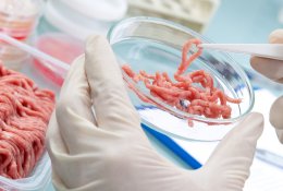 Antibiotikai: ir tabletėmis, ir lėkštėje su mėsa