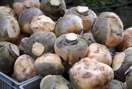 Ne varguolių maistas, o rudens skanėstas