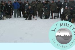 Nemokamų savaitės renginių gidas