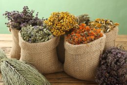 Gydymas vaistažolėmis ir homeopatija – ne tas pats