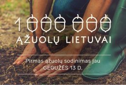 „Milijonas ąžuolų Lietuvai“. Startas - jau šį sekmadienį
