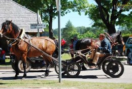 Nemokamų savaitės renginių gidas