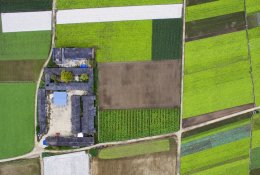 Žemės ūkio ministerijai – prašymas atpiginti ekologinės gamybos sertifikavimą