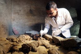Archeologai Egipte rado dešimtis itin senų kačių mumijų