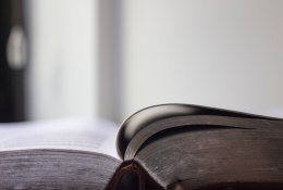 Teisininko konsultacija: vaiko raida, testamento užginčijimas ir namo pardavimas esant kitiems bendraturčiams