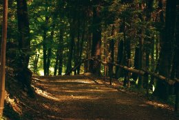 Didžiausias erkių pavojus - Panevėžio apylinkėse