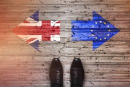 „Brexitas“: ką apie jį reikia žinoti užsienyje gyvenantiems lietuviams?