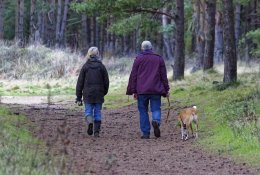 Kad vienatvė netaptų epidemija: padeda augintiniai