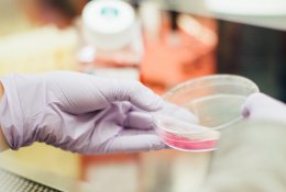Mokslininkai: Ebola gali greitai tapti išgydoma liga