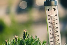 Mokslininkai: metinės temperatūros kilimas bus pažabotas, jei sumažės žemės ūkio sektoriaus tarša