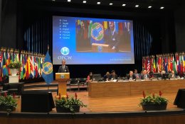 Lietuva pirmą kartą išrinkta į Cheminio ginklo uždraudimo organizacijos Vykdomąją tarybą
