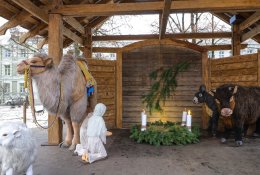 Kalėdos 2019: nemokami renginiai, kuriuos verta pamatyti