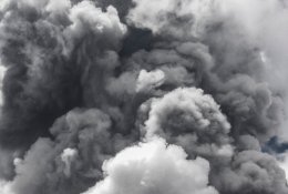 Ką daryti, jei apsinuodijote smalkėmis