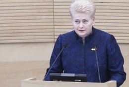 D. Grybauskaitė: klaidų darymas suprantamas, tačiau jų neigimas – nusikalstamas