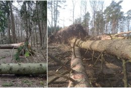 Stipriausios audros Lietuvoje: negaili nei gamtos, nei žmogaus