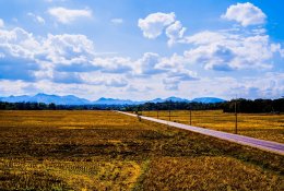 ES klimato tarnybos: 2020 m. balandis buvo vienas šilčiausių nuo orų stebėjimo pradžios