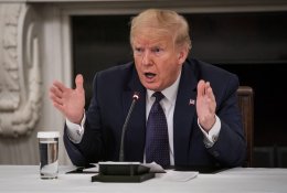 D. Trumpas grasina po 30 dienų visam laikui įšaldyti PSO finansavimą