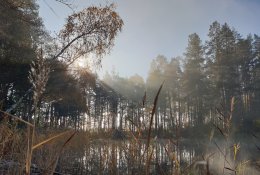 Laiką leidžiame lauke: 6 patarimai, kaip fotografuoti gamtą