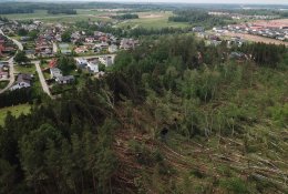 Miškininkai Nemenčinėje pradėjo tvarkyti audros nusiaubtą 4 hektarų miško plotą