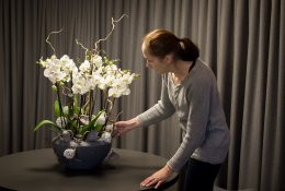 Gėlynas namuose: kaip sukurti jaukią erdvę?