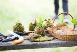 Želdininykstė – gamtos šauksmas ar perspektyvi profesija?