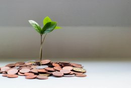 „Sodra“ ruošiasi mokėti po 200 eurų – pensininkams niekur kreiptis nereikia