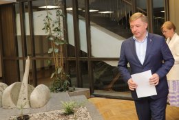 R. Karbauskis: dėl e.sveikatos sistemos problemų kalčiausias R. Masiulis