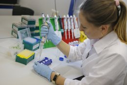 Europoje koronaviruso atvejų skaičius perkopė 4 milijonus