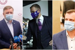 Naujausi reitingai: partijų rikiuotėje permainų nedaug, A. Verygos populiarumas buvo laikinas