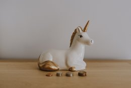 Šeimos finansinė padėtis: kaip ją vertina lietuviai?